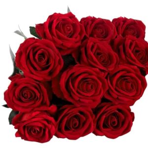 Tia Crafts Premium Flower Artificial Flowers for Home Decoration and Pooja (Red-12)